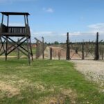 Auschwitz-Birkenau and Wieliczka Salt Mine Museum Guided Tour from Krakow - Overview of the Experience