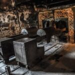 Auschwitz-Birkenau: Entrance Ticket and Live Tour Guide - Authentic Insights from Travelers