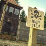 Auschwitz-Birkenau Guided Shared Tour from Krakow - Authentic Experiences from Reviewers