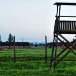 Auschwitz-Birkenau: Guided Tour and Skip-The-Line Ticket - Practical Details: What You Need to Know