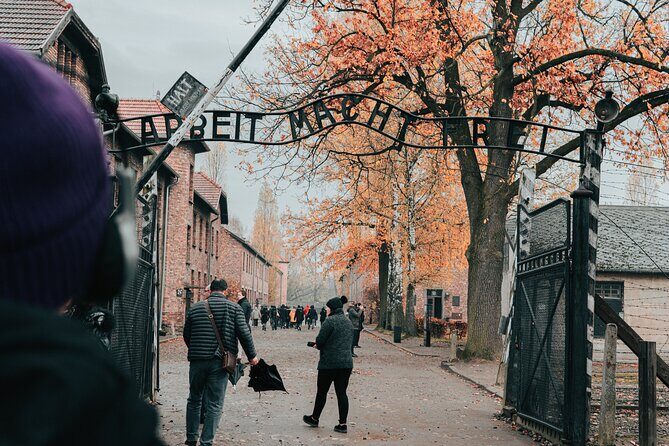 Auschwitz Birkenau guided tour from Krakow private chauffeur - Who Is This Tour Best Suited For?