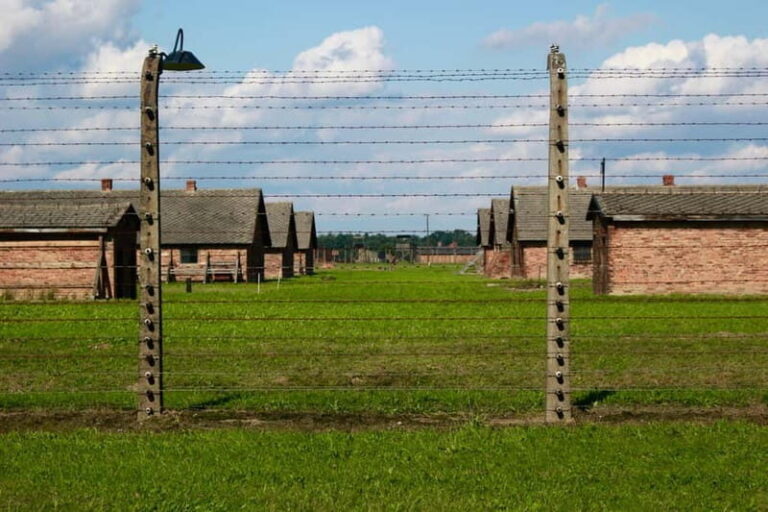 Auschwitz-Birkenau: Guided Tour - Ticket + Transportation - Authentic Insights from Travelers