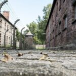 Auschwitz & Birkenau: Live-Guided Tour with Transportation and Hotel Pickup - Who Should Consider This Tour?