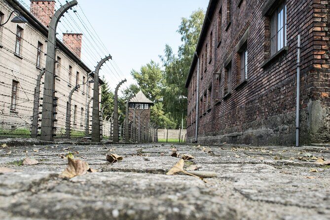 Auschwitz & Birkenau: Live-Guided Tour with Transportation and Hotel Pickup - Who Should Consider This Tour?