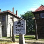 Auschwitz-Birkenau Memorial and Museum Guided Tour from Krakow - Entry and the Significance of Auschwitz
