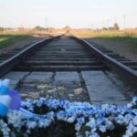 Auschwitz-Birkenau Memorial and Wieliczka Salt Mine Day Tour - Auschwitz II-Birkenau: The Haunting Remnants