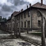 Auschwitz-Birkenau: Memorial Entry Ticket and Guided Tour - Who Would Benefit from This Tour?