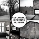 Auschwitz-Birkenau: Museum Entry Ticket with Guided Tour - Practical Details and Tips