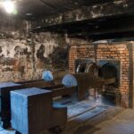 Auschwitz Birkenau Museum Tour from Krakow - Transportation & Logistics