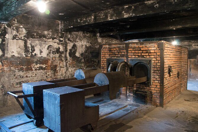 Auschwitz Birkenau Museum Tour from Krakow - Transportation & Logistics
