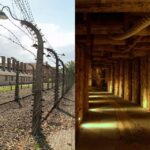 Auschwitz-Birkenau & Salt Mine Tour in One Day from Krakow - An In-Depth Look at the Auschwitz-Birkenau & Salt Mine Tour