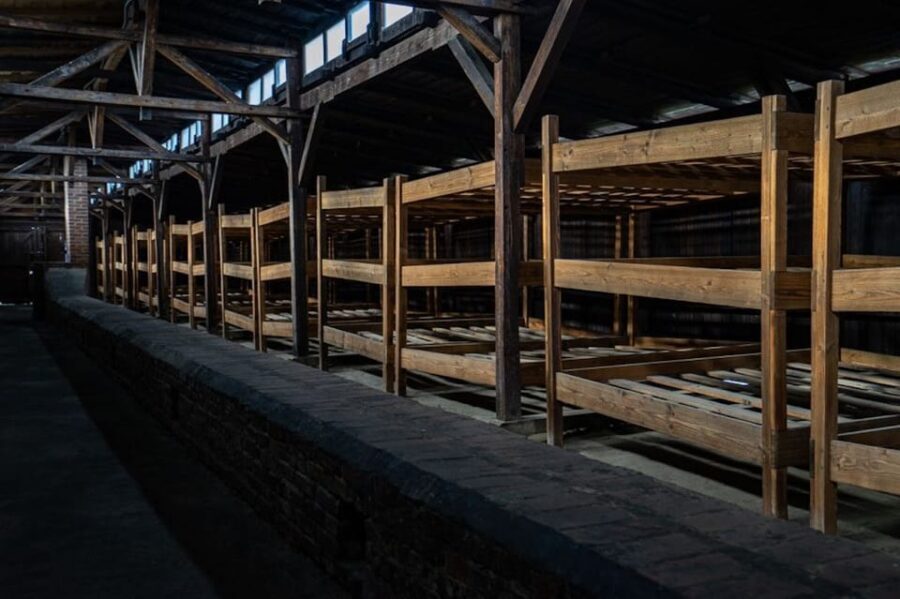 Auschwitz-Birkenau Skip-the-Line Ticket and Guided Tour - Who Should Consider This Tour?