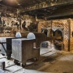Auschwitz-Birkenau Tour with Transfer, eBook and Optional Guide - Final Thoughts