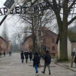 Auschwitz Museum and Salt Mine Tour with Private Transport - Why Choose This Tour?