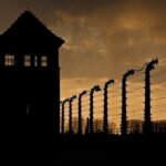 Auschwitz Small Group Tour from Warsaw with Lunch - Who Would Enjoy This Tour?