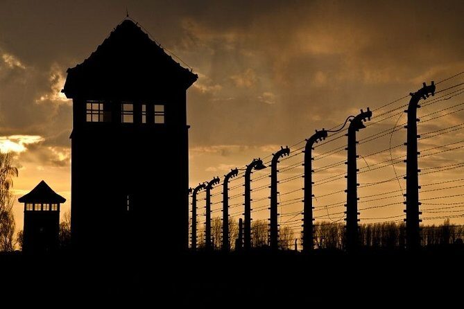 Auschwitz Small Group Tour from Warsaw with Lunch - Who Would Enjoy This Tour?