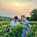 Authentic Champagne Tour: 3 vineyards, 10 Tastings & Lunch - Why This Tour Works Well