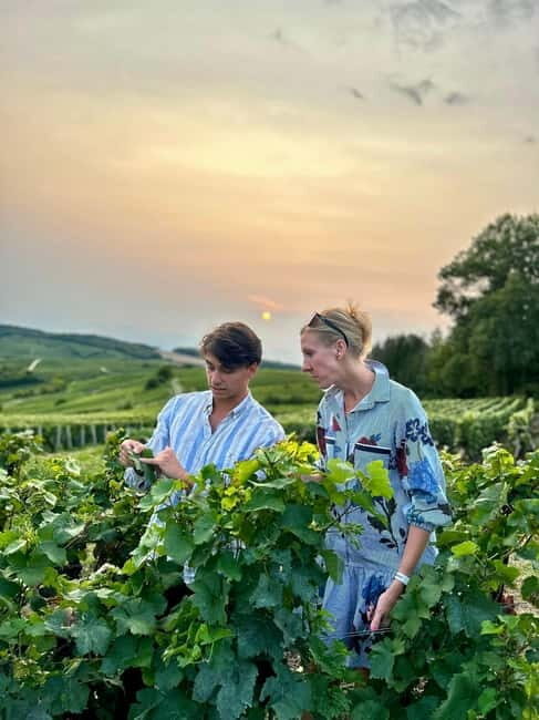 Authentic Champagne Tour: 3 vineyards, 10 Tastings & Lunch - Why This Tour Works Well