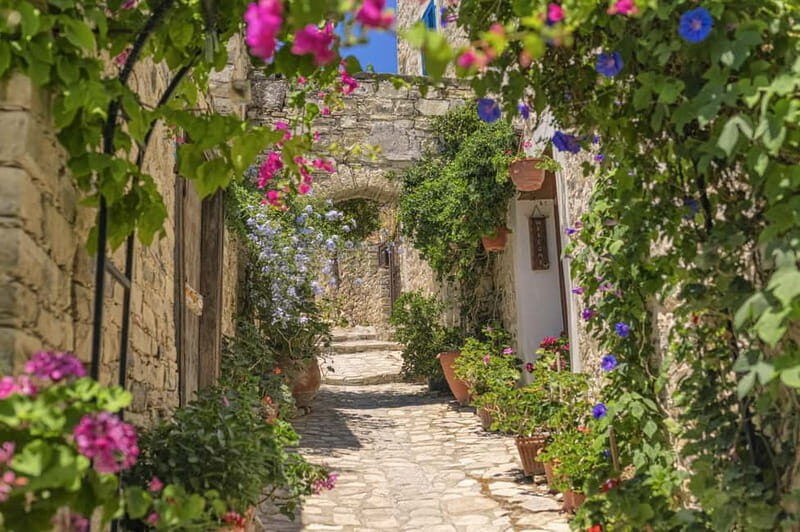 Authentic Cyprus with a Romanian-speaking Guide - Practical Details and Highlights