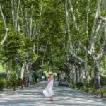 Authentic Douro Valley - small-Group Tour (Max 7) - Analyzing the Cost: Is It Worth It?