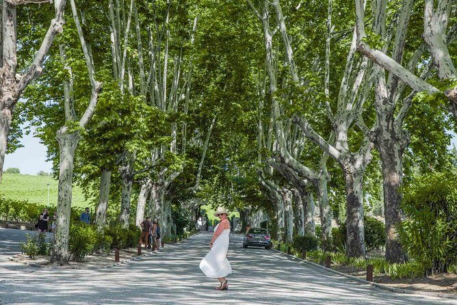 Authentic Douro Valley - small-Group Tour (Max 7) - Analyzing the Cost: Is It Worth It?