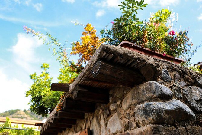 Authentic Gourmet Tour with Wine and Food Tasting from Paphos - Who Will Love This Tour?