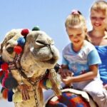 Authentic Private Tangier Tour from Estepona Camel Ride & Lunch - The Value of This Tour