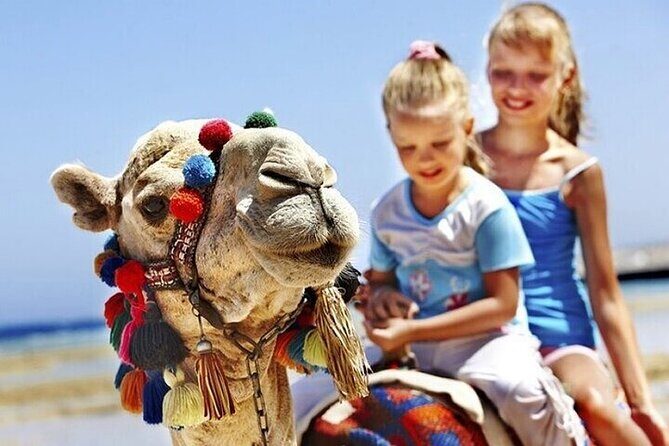 Authentic Private Tangier Tour from Estepona Camel Ride & Lunch - The Value of This Tour