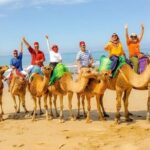 Authentic Private Tangier Tour from Marbella Camel Ride & Lunch - Early Stops in Tangier