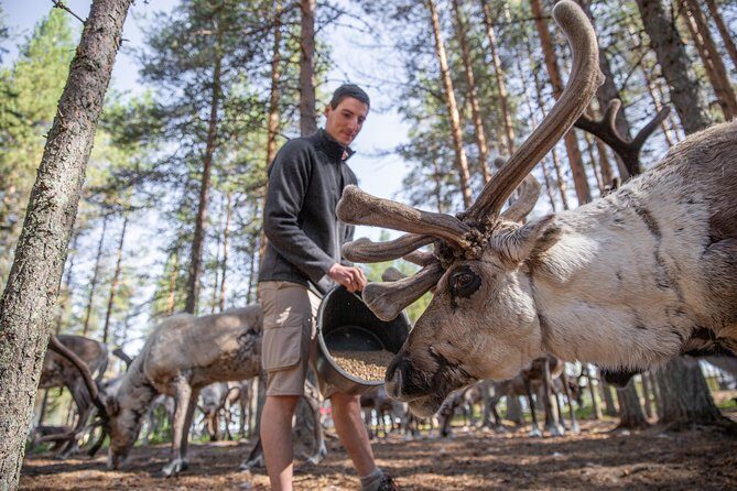 Authentic Reindeer Farm and Canoe Experience from Rovaniemi. - Final Thoughts