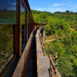 Authentic Vall de Sóller: Day Trip - Visiting the Alfabia Gardens: A Hidden Treasure