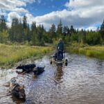 Autumn Husky Sit and Drive Cart Tour from Kiruna - Is This Tour Worth the Cost?