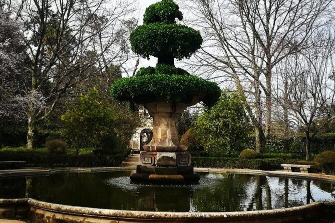 Aveiro and Coimbra Private Tour From Porto - Practical Tips for Your Day Trip