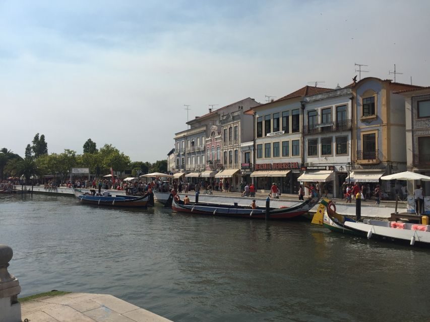 Aveiro and Coimbra Private Tour - What’s Included and What to Consider