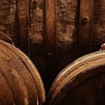 Aveiro Bike Rental - 5/8 hours - Pricing and Value