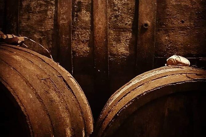 Aveiro Bike Rental - 5/8 hours - Pricing and Value