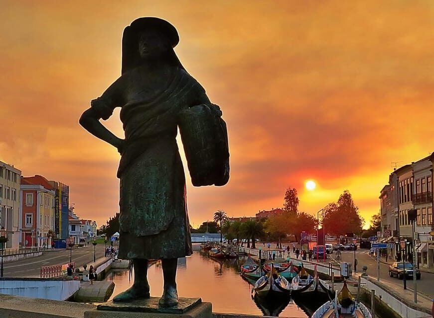 AVEIRO E COSTA NOVA: Private Full-Day Tour w/Boat from Porto - Authentic Art Nouveau & Salt Pan Stories