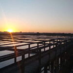 Aveiro Essential: Boat, Walking Tour, Sweets & Ribbons - Who Is This Tour Best For?