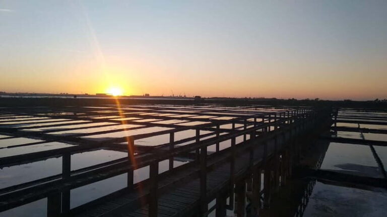 Aveiro Essential: Boat, Walking Tour, Sweets & Ribbons - Who Is This Tour Best For?