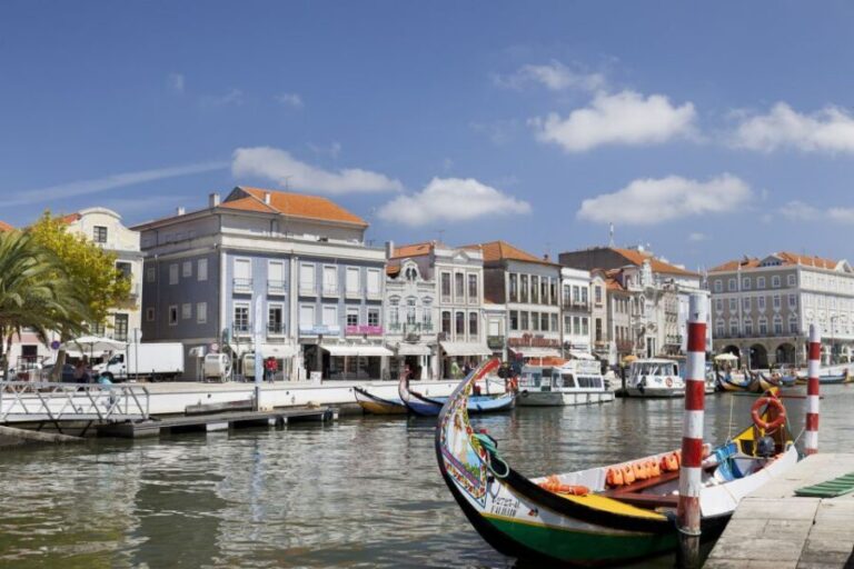 Aveiro: Half Day Tour with Boat Ride - Exploring Costa Nova and Its Iconic Houses