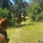 Aveiro: Horse Riding Experience with Instructor - The Ride: A Scenic Journey in Portugal’s Countryside