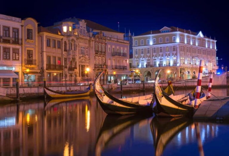 Aveiro: Moliceiro Boat Tour - An In-Depth Look at the Moliceiro Boat Tour