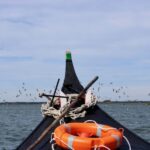 Aveiro: passeio de barco típico com degustação - 90 min - The Guides and Experience