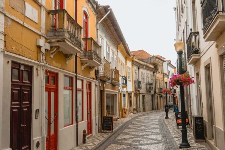 Aveiro: Private & Flexible Walking Tour in Historic Center - Who Should Book This Tour?