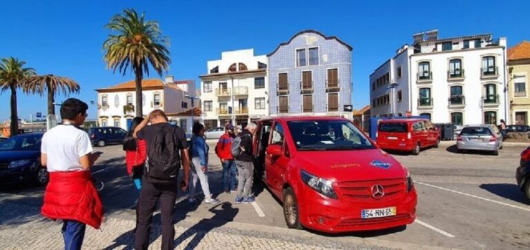 Aveiro Private Tour with cruise - Who Will Love This Tour?