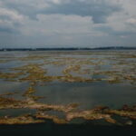 Aveiro: Ria Highlights Boat Tour - Key Points