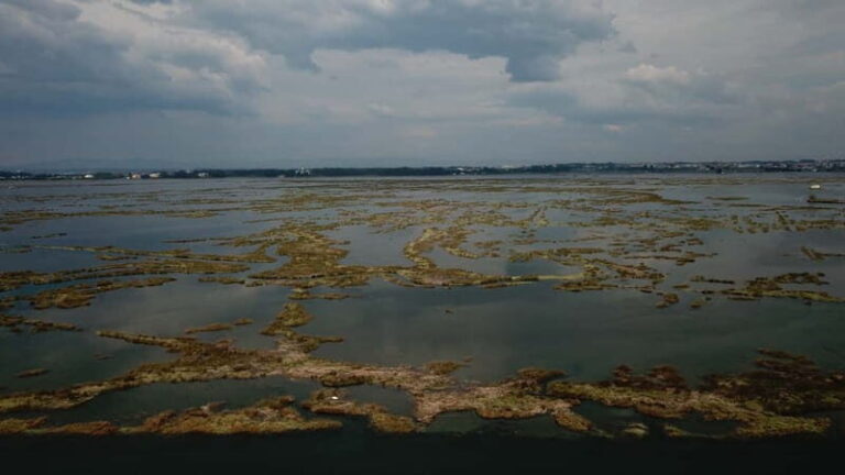 Aveiro: Ria Highlights Boat Tour - Key Points