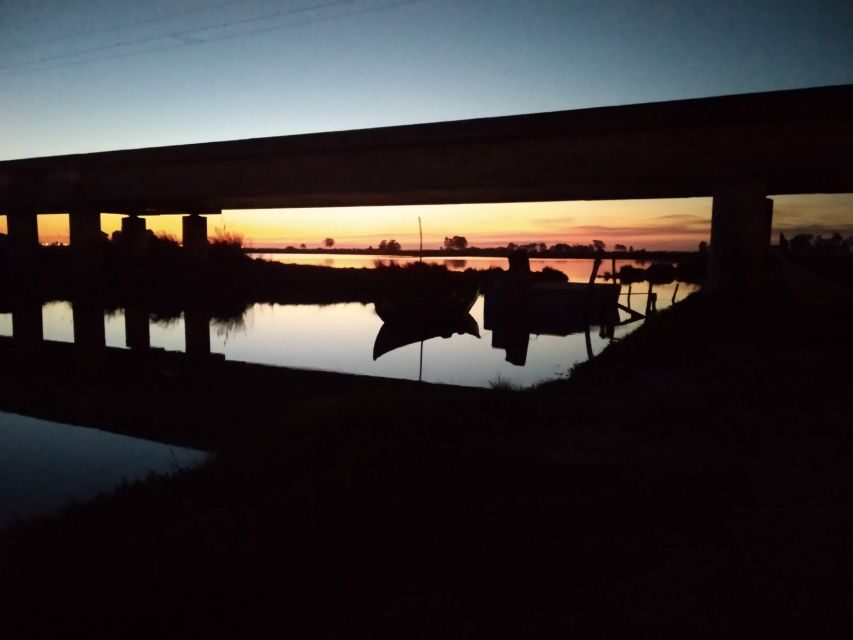 Aveiro: Walking Tour, Boat Cruise, Sweets & Church Entrance - The Itinerary Breakdown