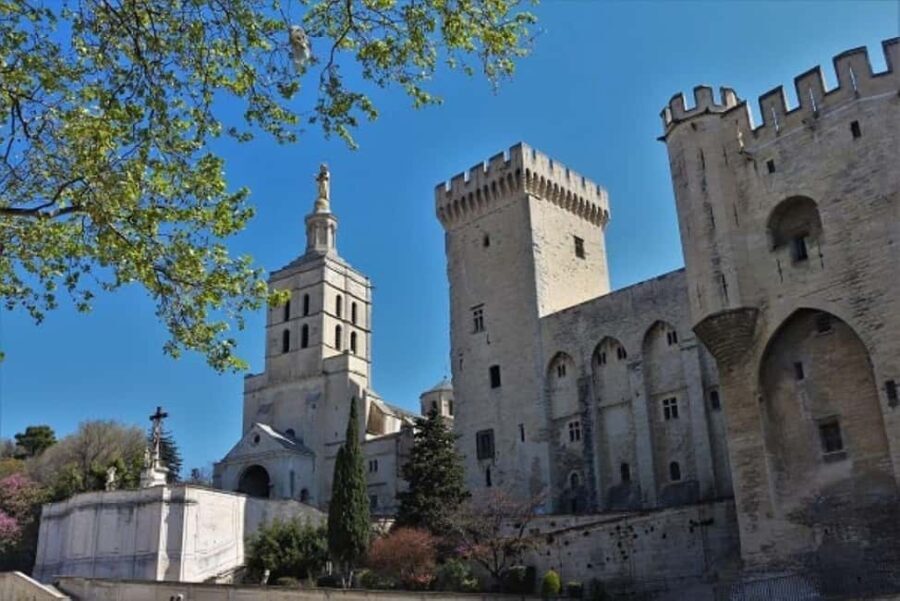 Avignon: All About Avignon Tour - Who Should Book This Tour?