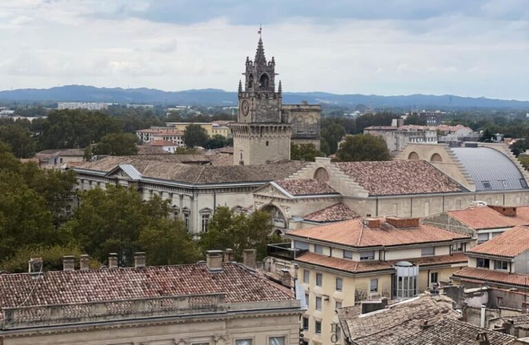Avignon: History and Legend Walking Tour - Practical Aspects and Value